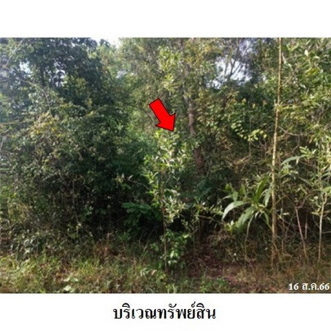 รูป Z2T1321 ขายที่ดินเปล่า ตำบล สระแก้ว อำเภอ เมืองสระแก้ว จังหวัด สระแก้ว - รูปที่ 2/8