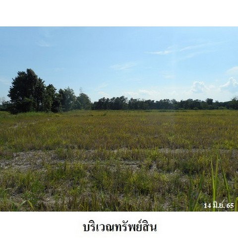 picture FOR SALE  LAND PROPERTY  9016000 BAHT. - 3/8