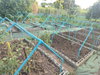 listing thumbnail image 69