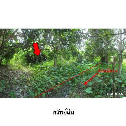 รูป ZLTR002 ขายที่ดินเปล่า ตำบล บ้านโฮ่ง อำเภอ บ้านโฮ่ง จังหวัด ลำพูน - รูปที่ 8/8