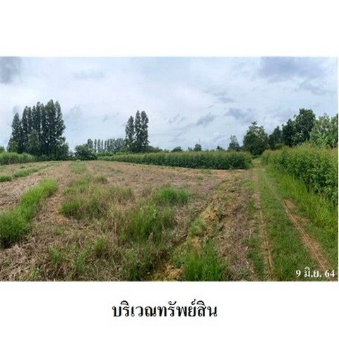 รูป Z3A0673 ขายที่ดินเปล่า ตำบล ศาลาลำดวน อำเภอ เมืองสระแก้ว จังหวัด สระแก้ว - รูปที่ 7/8