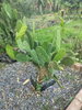 listing thumbnail image 53