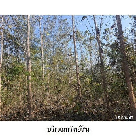 รูป Z3A0330 ขายที่ดิน ตำบล ด่านแม่ละเมา อำเภอ แม่สอด จังหวัด ตาก - รูปที่ 2/8