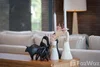 listing thumbnail image 20