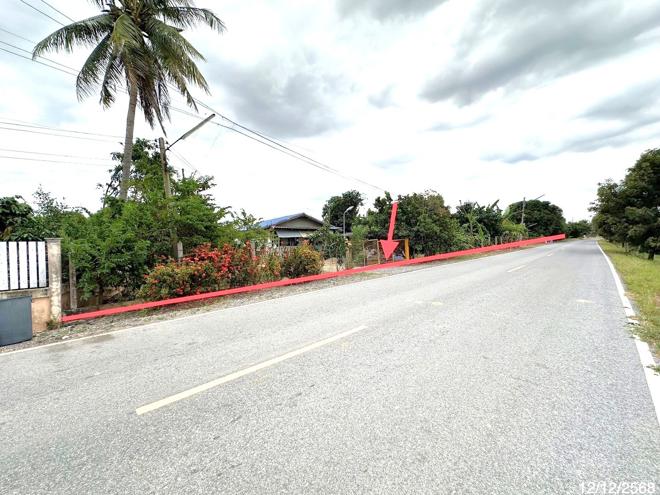 picture HOME 1605 Sq.w. Muang Sing Buri Singburi for 4M - 7/20