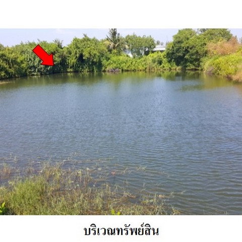 รูป Z3A0258 ขายที่ดินเปล่า ตำบล ตะกาดเง้า อำเภอ ท่าใหม่ จังหวัด จันทบุรี - รูปที่ 5/8