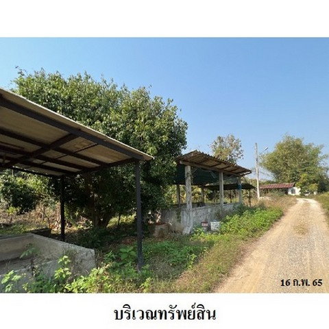 picture FOR SALE  WAREHOUSE PROPERTY  4659000 BAHT. - 6/8