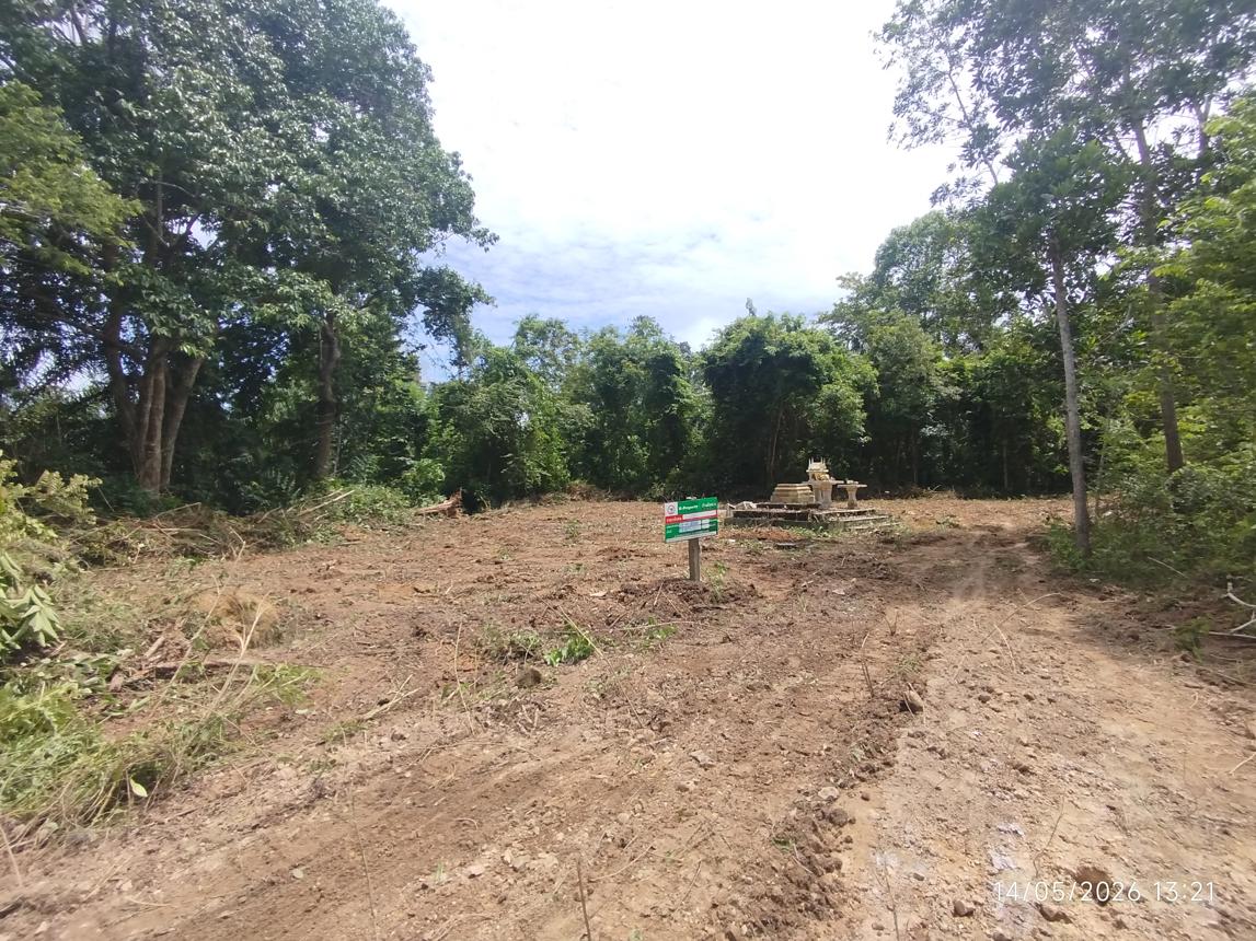 picture LAND 663 Sq.w. Khlong Thom Krabi for 2.9M - 12/26
