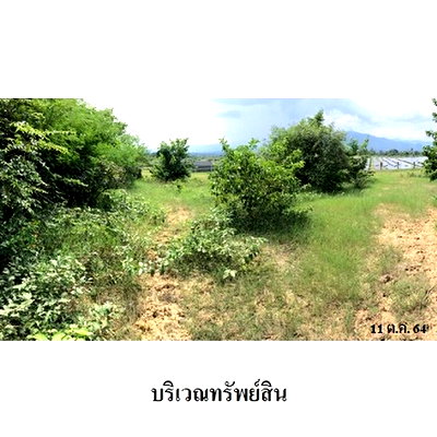 ที่ดิน บ้านโฮ่ง ลำพูน : Z8Z3311 ขายที่ดินเปล่า โครงการ สวนเกษตรนพวรรณ ตำบล หนองปลาสะวาย อำเภอ บ้านโฮ่ง จังหวัด ลำพูน