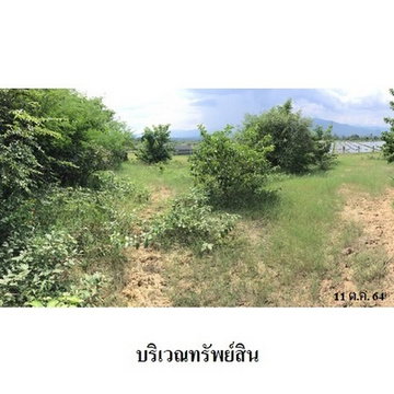 Z8Z3311 ขายที่ดินเปล่า โครงการ สวนเกษตรนพวรรณ ตำบล หนองปลาสะวาย อำเภอ บ้านโฮ่ง จังหวัด ลำพูน