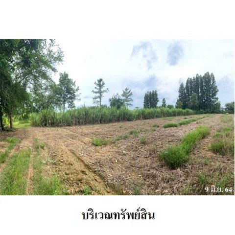 รูป Z3A0673 ขายที่ดินเปล่า ตำบล ศาลาลำดวน อำเภอ เมืองสระแก้ว จังหวัด สระแก้ว - รูปที่ 8/8