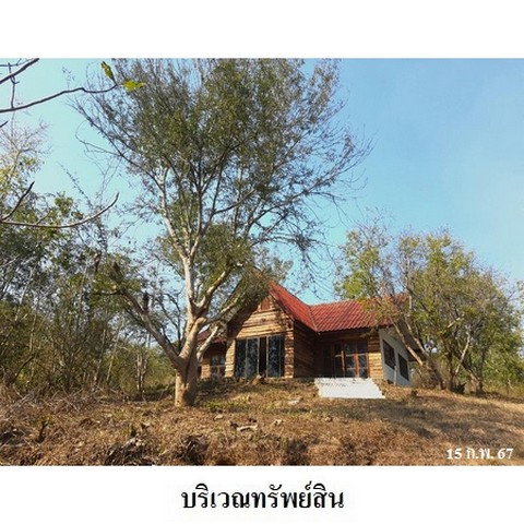 รูป Z3A0330 ขายที่ดิน ตำบล ด่านแม่ละเมา อำเภอ แม่สอด จังหวัด ตาก - รูปที่ 5/8
