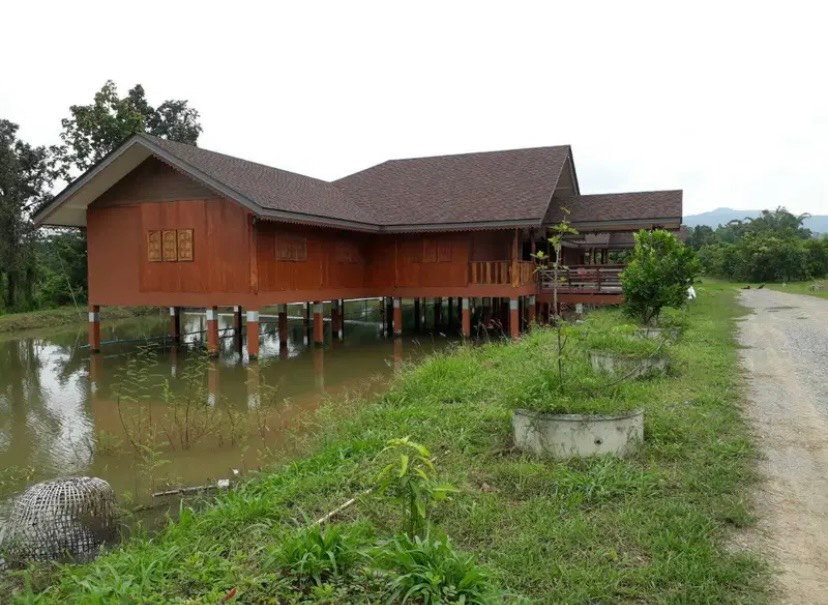 รูป ขายที่ดินพร้อมบ้านและสวนลำไย 14 ไร่ ทำเลดีมาก อ.เมือง จ.ลำพุน - รูปที่ 6/16