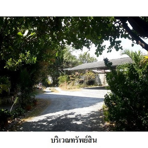 รูป Z9Z0944 ขายที่ดินเปล่า ตำบล บ้านสวน อำเภอ เมืองชลบุรี จังหวัด ชลบุรี - รูปที่ 3/8