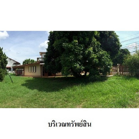 รูป Z3A0326 ขายบ้านเดี่ยว ตำบล เหมืองจี้ อำเภอ เมืองลำพูน จังหวัด ลำพูน - รูปที่ 7/8