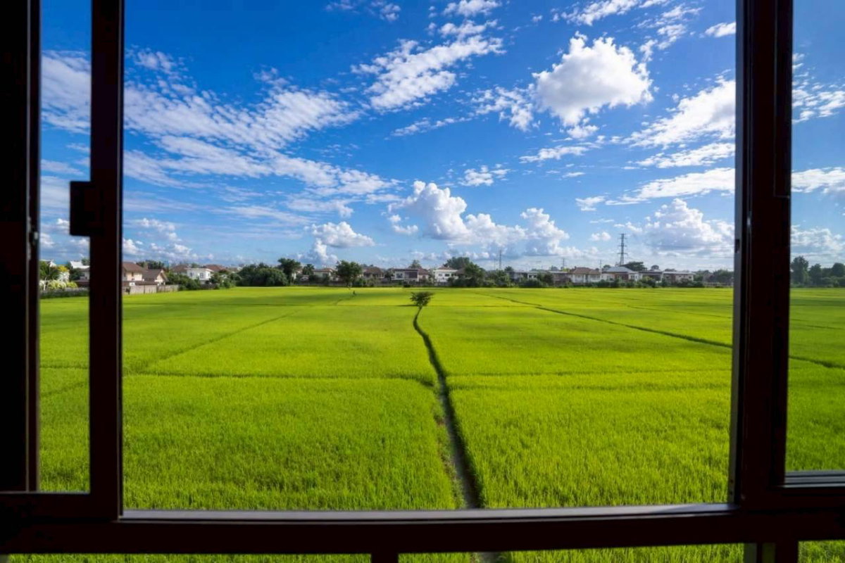 รูป Pool Villa สร้างใหม่ พร้อมสระว่ายน้ำส่วนตัว | หางดง เชียงใหม่ (ID:155PS) - รูปที่ 30/31