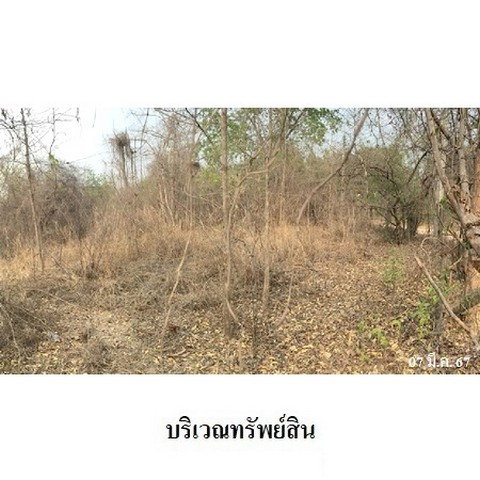 รูป ZLL0030 ขายที่ดินเปล่า ตำบล วังหิน อำเภอ เมืองตาก จังหวัด ตาก - รูปที่ 4/8