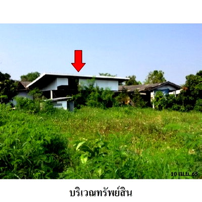 บ้านเดี่ยว เชียงใหม่ : Z3A1553 ขายบ้านเดี่ยว ตำบล ขุนคง อำเภอ หางดง จังหวัด เชียงใหม่