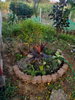 listing thumbnail image 25