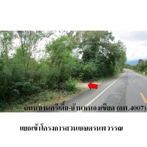 picture FOR SALE LAND PROPERTY 2194000 BAHT. - 5/8