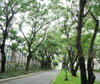 listing thumbnail image 77