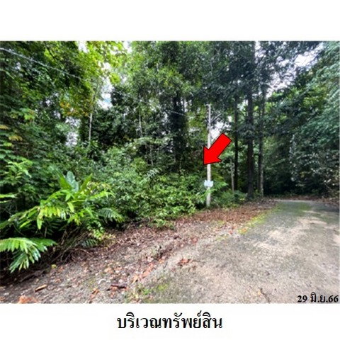 รูป Z1T1120 ขายที่ดินเปล่า โครงการ กระทิง คันทรี รีสอร์ท ตำบล พลวง อำเภอ เขาคิชฌกูฏ จังหวัด จันทบุรี - รูปที่ 5/8