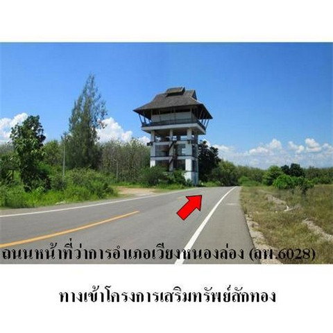 รูป Z9Z1325 ขายที่ดินเปล่า โครงการ เสริมทรัพย์สักทอง ตำบล หนองปลาสะวาย อำเภอ บ้านโฮ่ง จังหวัด ลำพูน - รูปที่ 3/8