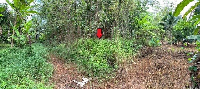 picture FOR SALE LAND PROPERTY 22162000 BAHT. - 6/8