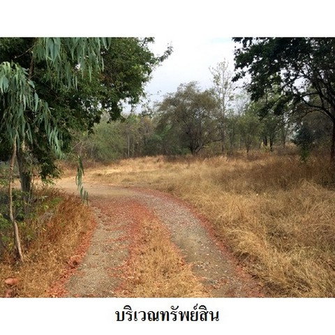 รูป Z3A1012 ขายที่ดิน ตำบล ไม้งาม อำเภอ เมืองตาก จังหวัด ตาก - รูปที่ 4/8