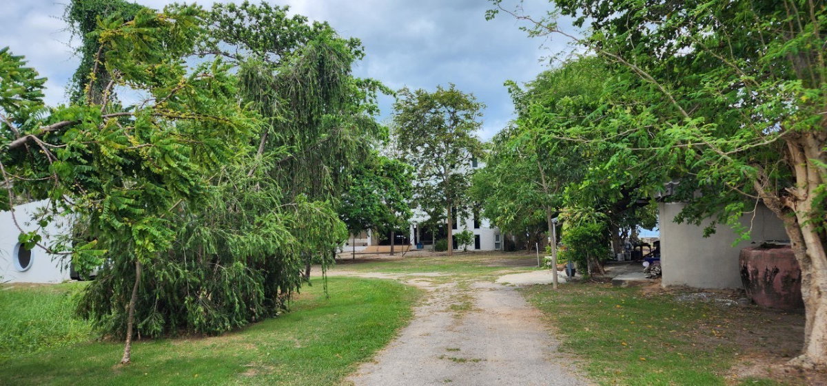 รูป บ้านพร้อมที่ดินแปลงงามติดทะเล บนทำเลศักยภาพพร้อมชายหาดส่วนตัว เหมาะสำหรับบ้านพักตากอากาศ  -SW003851 - รูปที่ 16/17