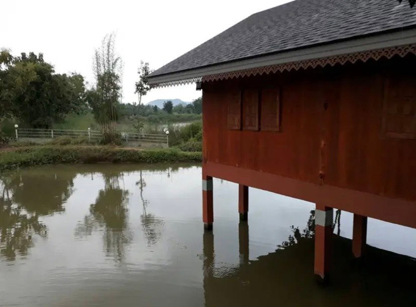 รูป ขายที่ดินพร้อมบ้านและสวนลำไย 14 ไร่ ทำเลดีมาก อ.เมือง จ.ลำพุน - รูปที่ 4/16