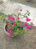 listing thumbnail image 40