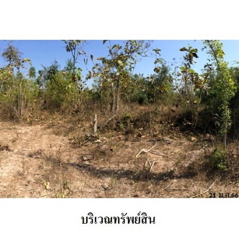 รูป Z8Z2690 ขายที่ดินเปล่า โครงการ เสริมทรัพย์สักทอง ตำบล หนองปลาสะวาย อำเภอ บ้านโฮ่ง จังหวัด ลำพูน - รูปที่ 8/8