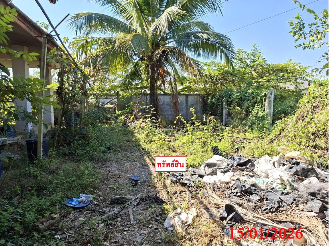 รูป บ้านเดี่ยว 457 ตร.วา หางดง เชียงใหม่ 3M - รูปที่ 12/18