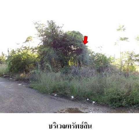 รูป Z8Z4854 ขายที่ดินเปล่า ตำบล สระแก้ว อำเภอ เมืองสระแก้ว จังหวัด สระแก้ว - รูปที่ 4/8