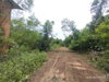 listing thumbnail image 18