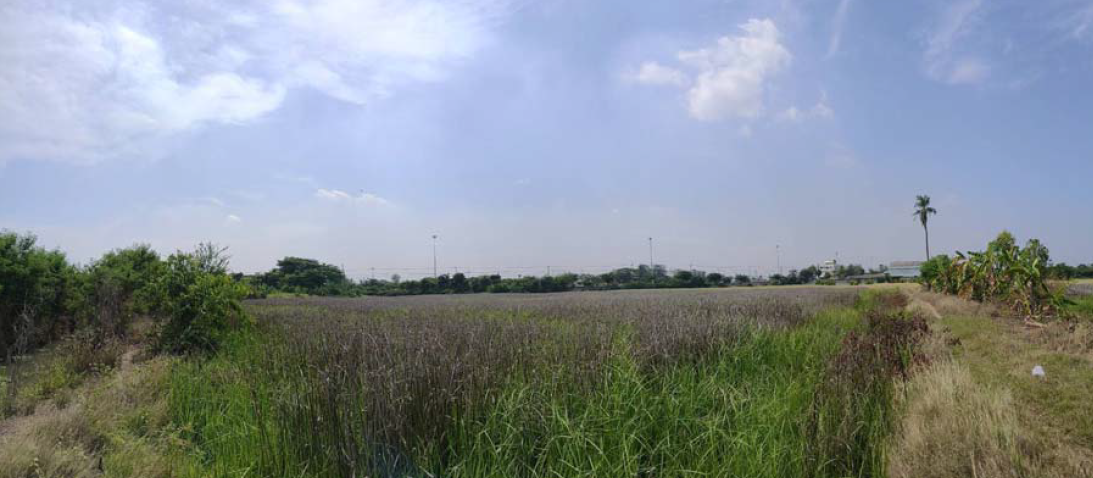 picture LAND 19130 Sq.w. Muang Suphanburi Suphanburi for 139.2M - 4/10