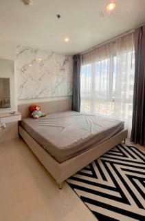 รูปภาพ 🔺 For Rent Condo THE PRODIGY PHETKASEM 62 Building B, Floor 17,1 bed room, Room size 34 sqm