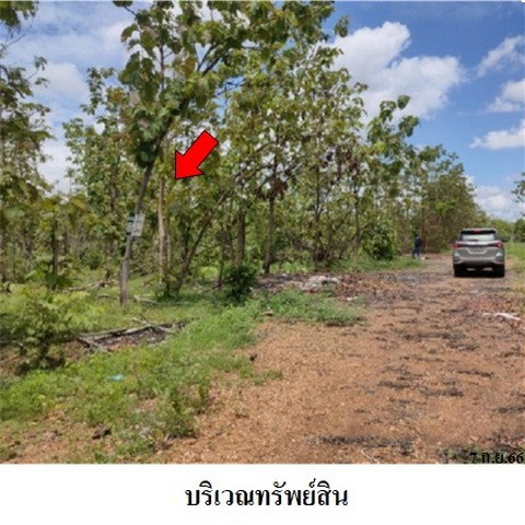 รูป Z9Z1325 ขายที่ดินเปล่า โครงการ เสริมทรัพย์สักทอง ตำบล หนองปลาสะวาย อำเภอ บ้านโฮ่ง จังหวัด ลำพูน - รูปที่ 7/8