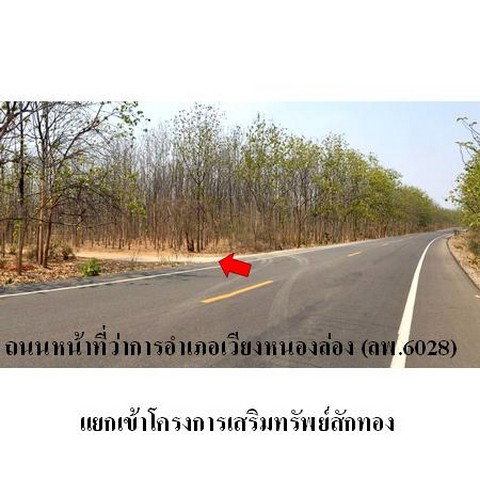 รูป Z8Z2690 ขายที่ดินเปล่า โครงการ เสริมทรัพย์สักทอง ตำบล หนองปลาสะวาย อำเภอ บ้านโฮ่ง จังหวัด ลำพูน - รูปที่ 5/8