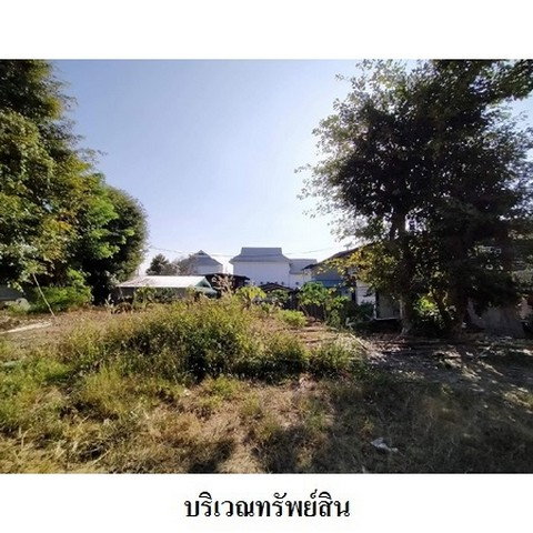 รูป Z3A1108 ขายที่ดินเปล่า ตำบล เวียงใต้ อำเภอ ปาย จังหวัด แม่ฮ่องสอน - รูปที่ 7/8