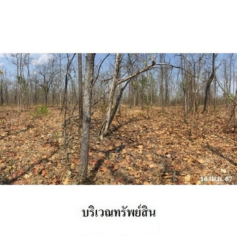 รูป Z3A0415 ขายที่ดินเปล่า ตำบล ไม้งาม อำเภอ เมืองตาก จังหวัด ตาก - รูปที่ 3/8