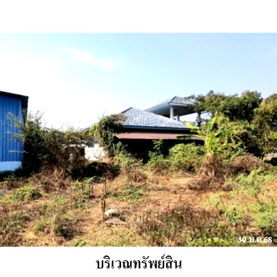 โรงงาน เชียงคำ พะเยา : Z3A1519 ขายโกดัง ตำบล ร่มเย็น อำเภอ เชียงคำ จังหวัด พะเยา