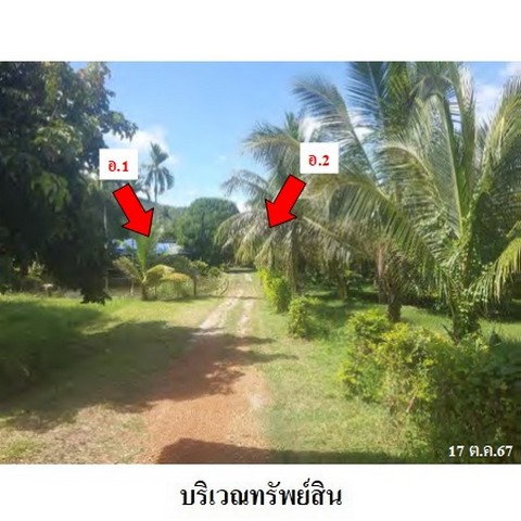 รูป ZHL0394 ขายที่ดินเปล่า ตำบล ศรีบัวบาน อำเภอ เมืองลำพูน จังหวัด ลำพูน - รูปที่ 4/8