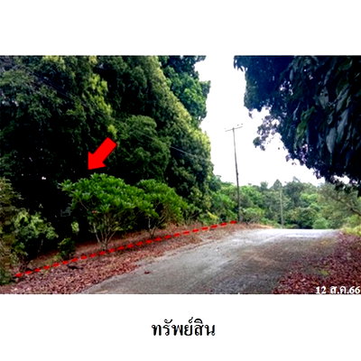 ที่ดิน จันทบุรี : Z1T2945 ขายที่ดินเปล่า โครงการ กระทิง คันทรี รีสอร์ท ตำบล พลวง อำเภอ เขาคิชฌกูฏ จังหวัด จันทบุรี