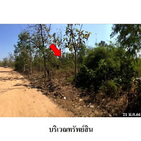 รูป Z8Z2690 ขายที่ดินเปล่า โครงการ เสริมทรัพย์สักทอง ตำบล หนองปลาสะวาย อำเภอ บ้านโฮ่ง จังหวัด ลำพูน - รูปที่ 7/8