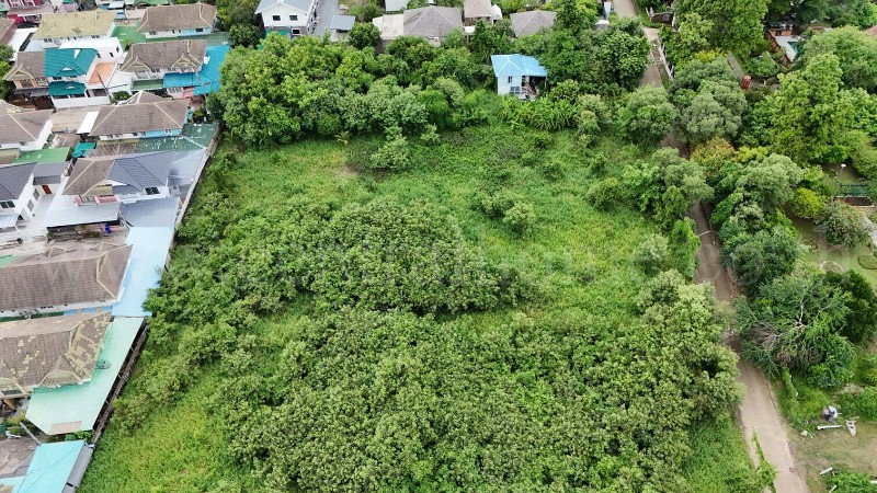 รูป ที่ดินเปล่า 700 ตร.วา บางใหญ่ - นนทบุรี ถมแล้ว - รูปที่ 4/5