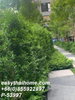 listing thumbnail image 17