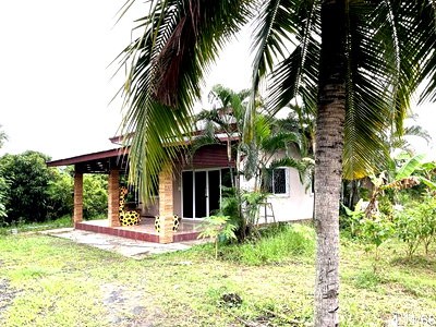 HOME 4987 Sq.w. Chalermphrakiet Buri Ram for 5.5M