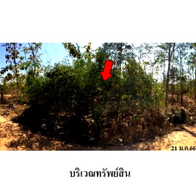 ที่ดิน บ้านโฮ่ง ลำพูน : Z8Z2690 ขายที่ดินเปล่า โครงการ เสริมทรัพย์สักทอง ตำบล หนองปลาสะวาย อำเภอ บ้านโฮ่ง จังหวัด ลำพูน